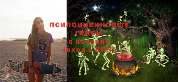 а пвп мука Абаза